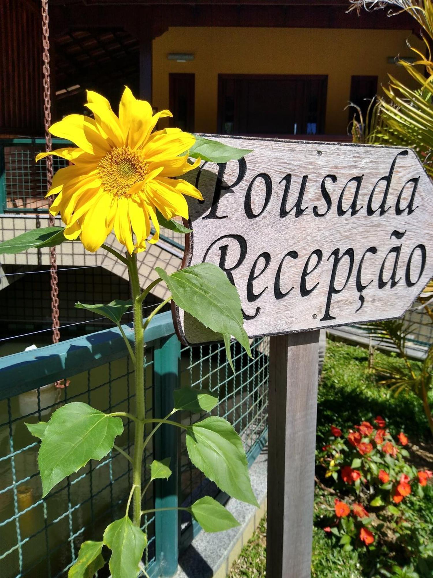 Pousada Recanto Das Flores Нова-Фрибургу Экстерьер фото